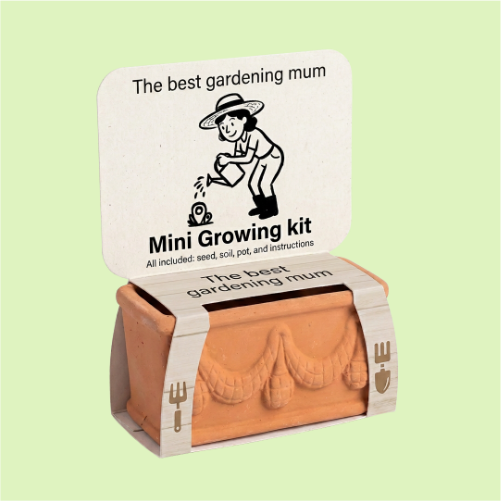 Best Mom seasonal growing kit