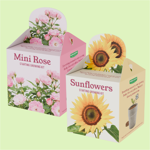 Growing kit gift box