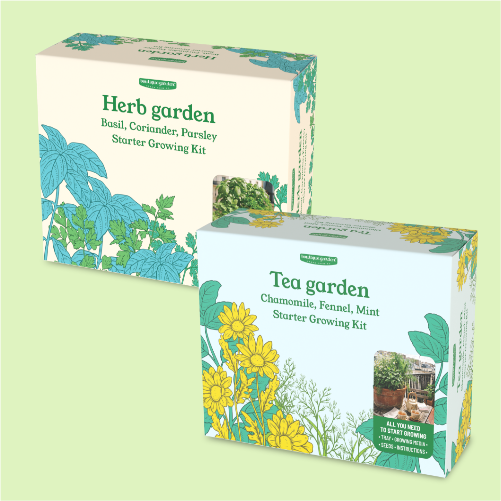 Herbs Garden growing kit