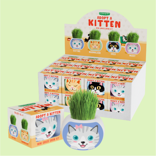 Grass Hair Kit Kitten growing kit