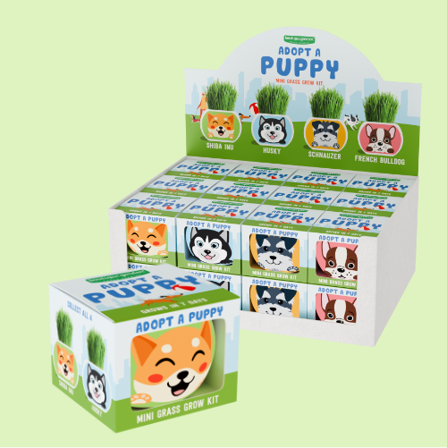 Grass Hair Kit Puppy growing kit