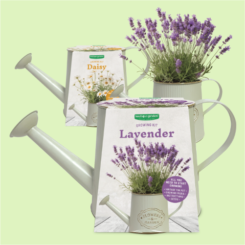 Vintage Watering Can growing kit