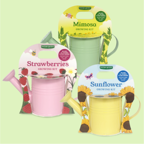 Mini Watering Cans growing kit