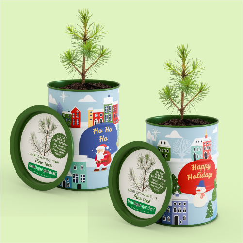Xmas Can seasonal growing kit