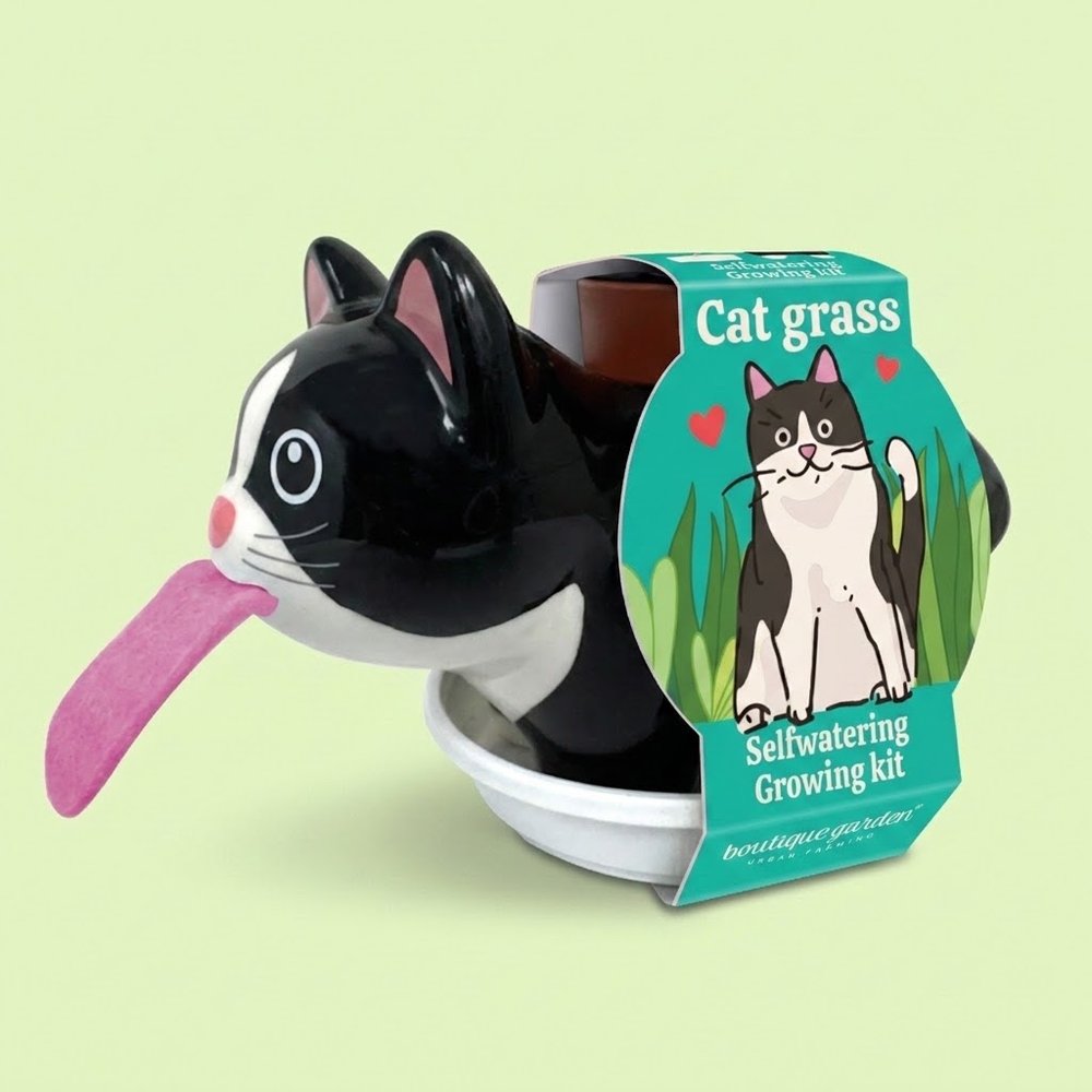 Self-watering ceramic cat grass growing kit