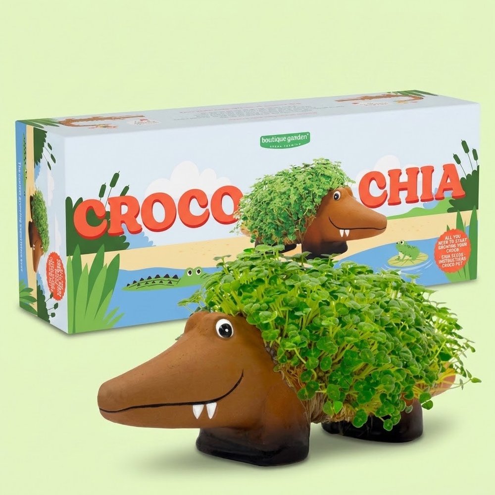 Croco chia seeds planter growing kit