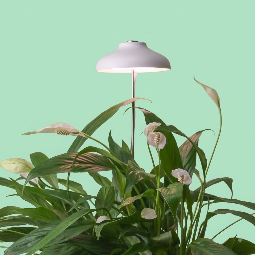 LED growing light for houseplants